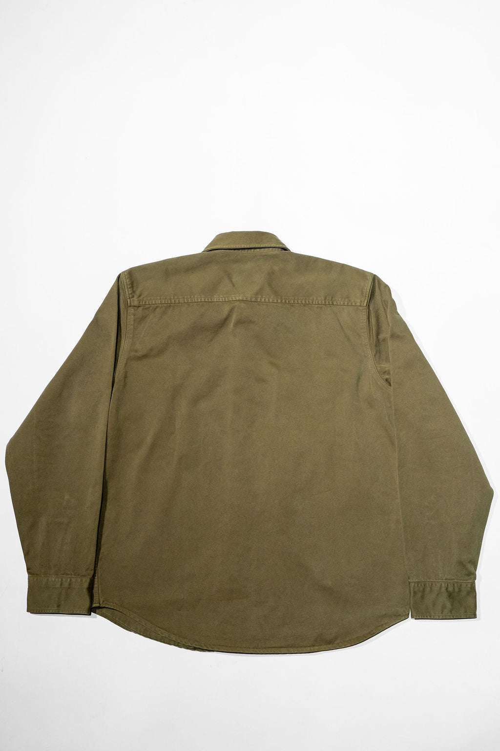 Indigofera Alamo - Olive