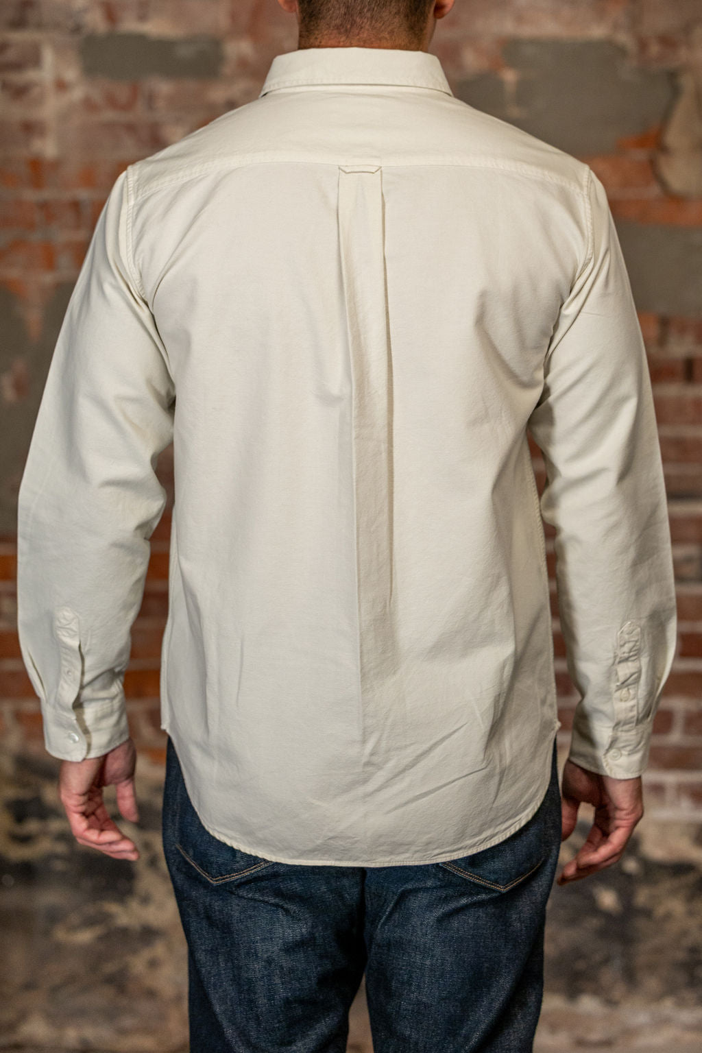 Knickerbocker "Beefy" Cotton Oxford - Bone