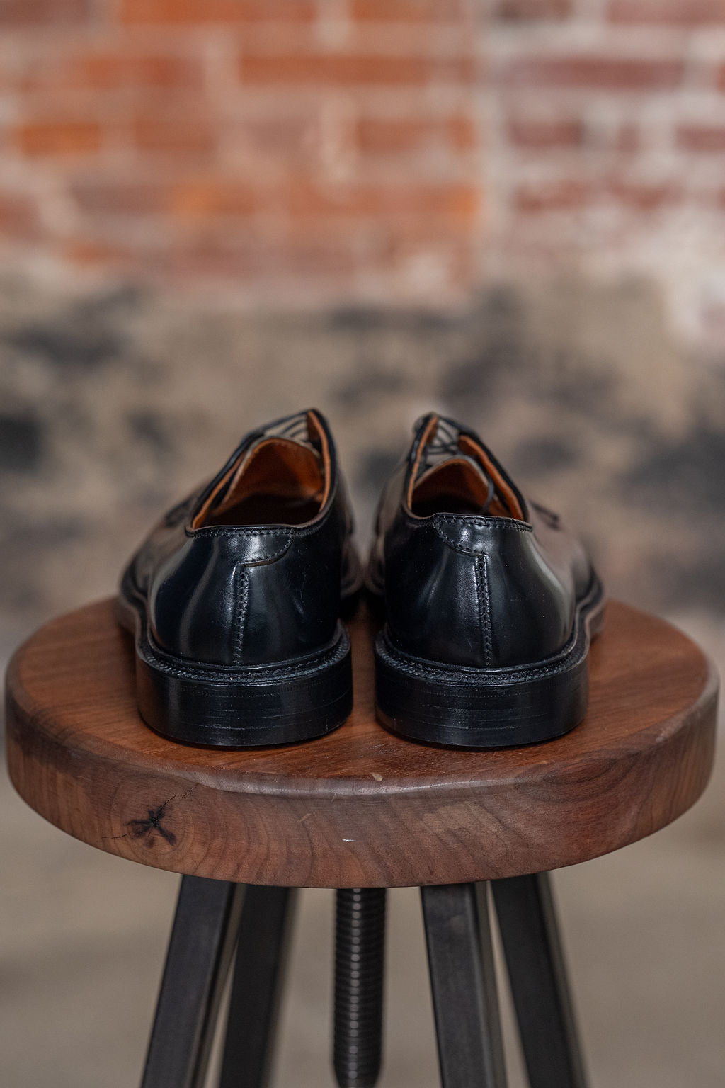 Alden 9901 Plain Toe Blucher - Black Shell Cordovan