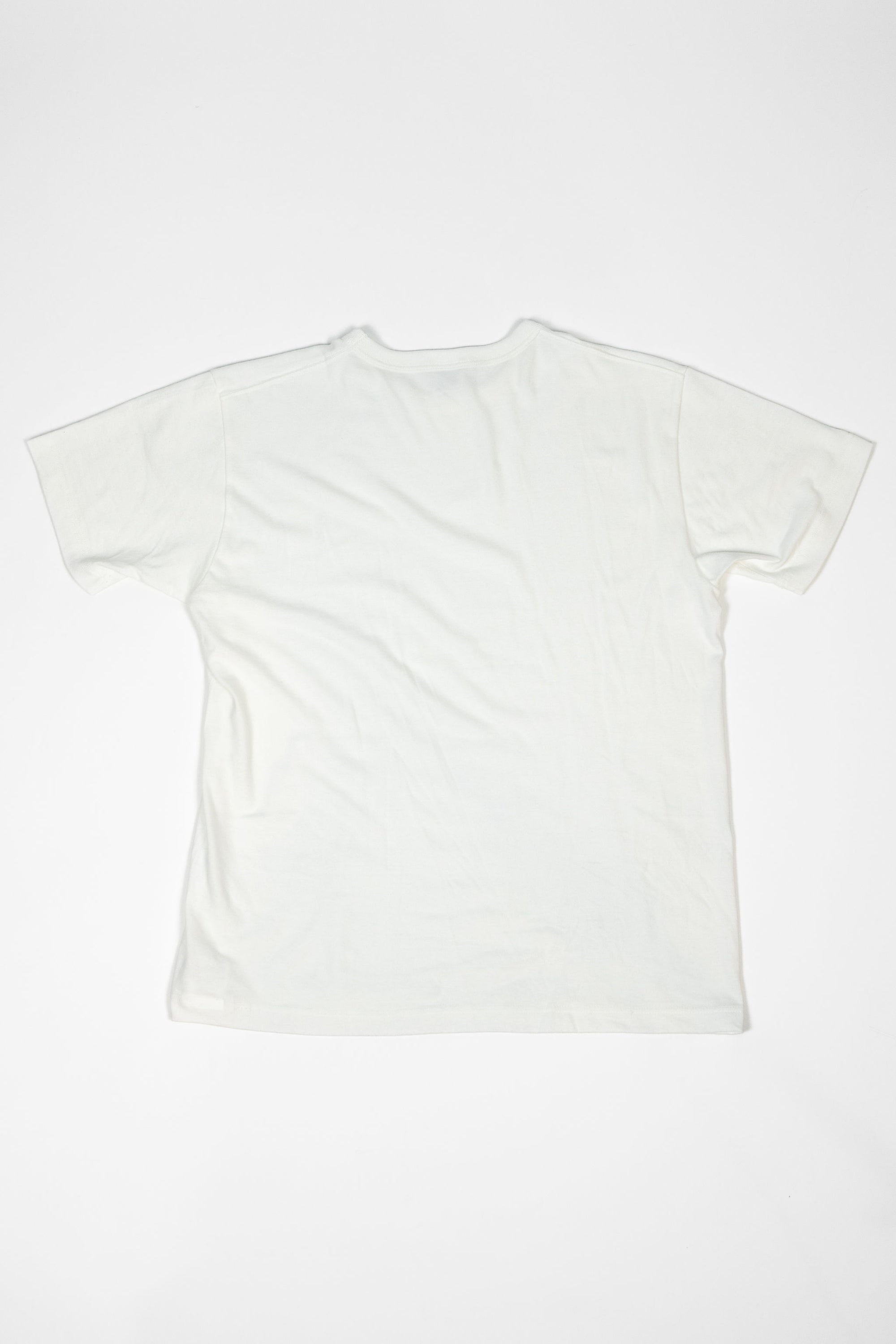 Buzz Rickson's BR78960 Package T-Shirt Goverment Issue - White