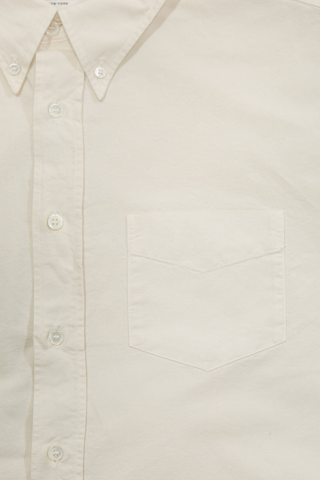 Knickerbocker "Beefy" Cotton Oxford - Bone