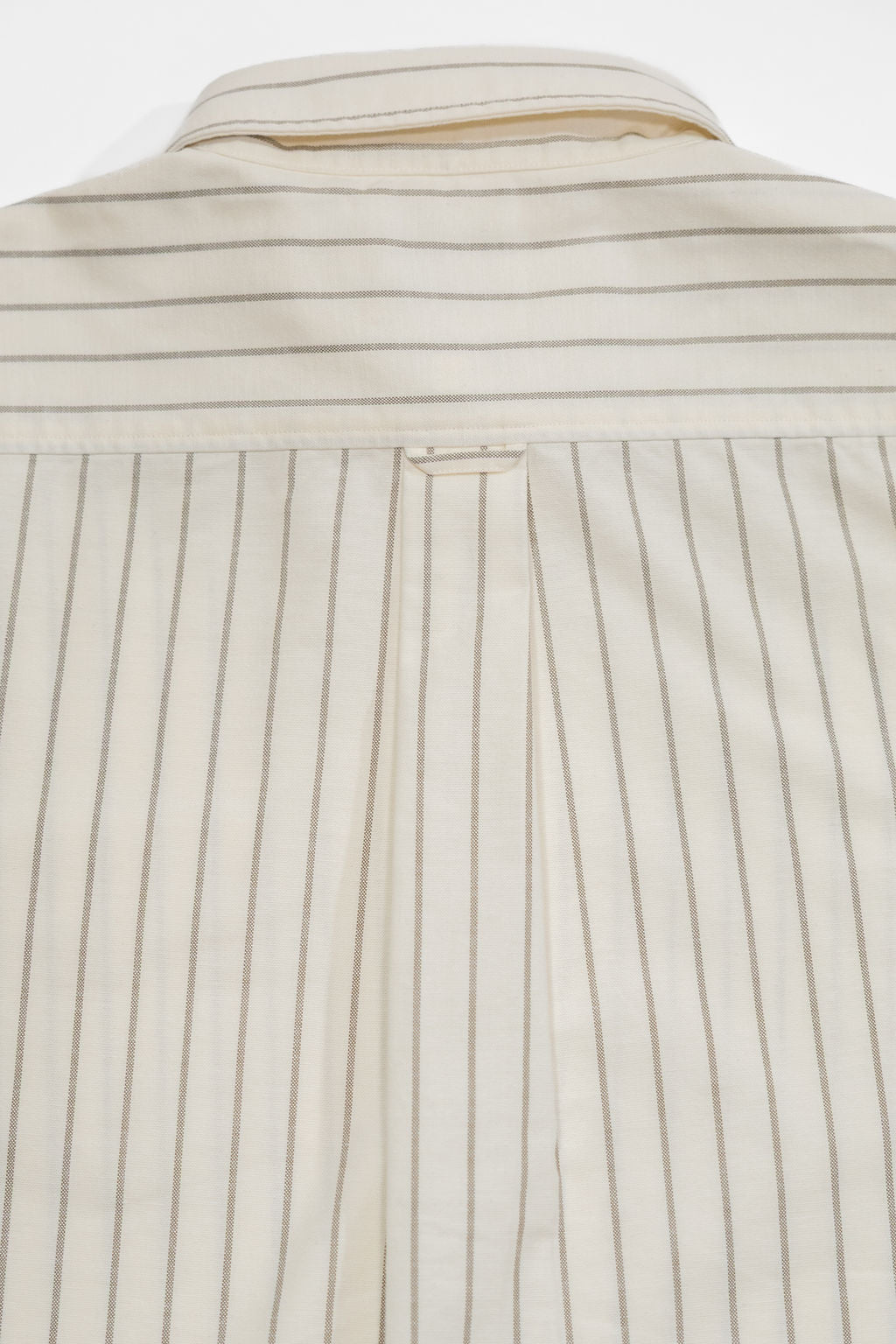 Knickerbocker "Beefy" Cotton Oxford - Bone & Olive Stripe
