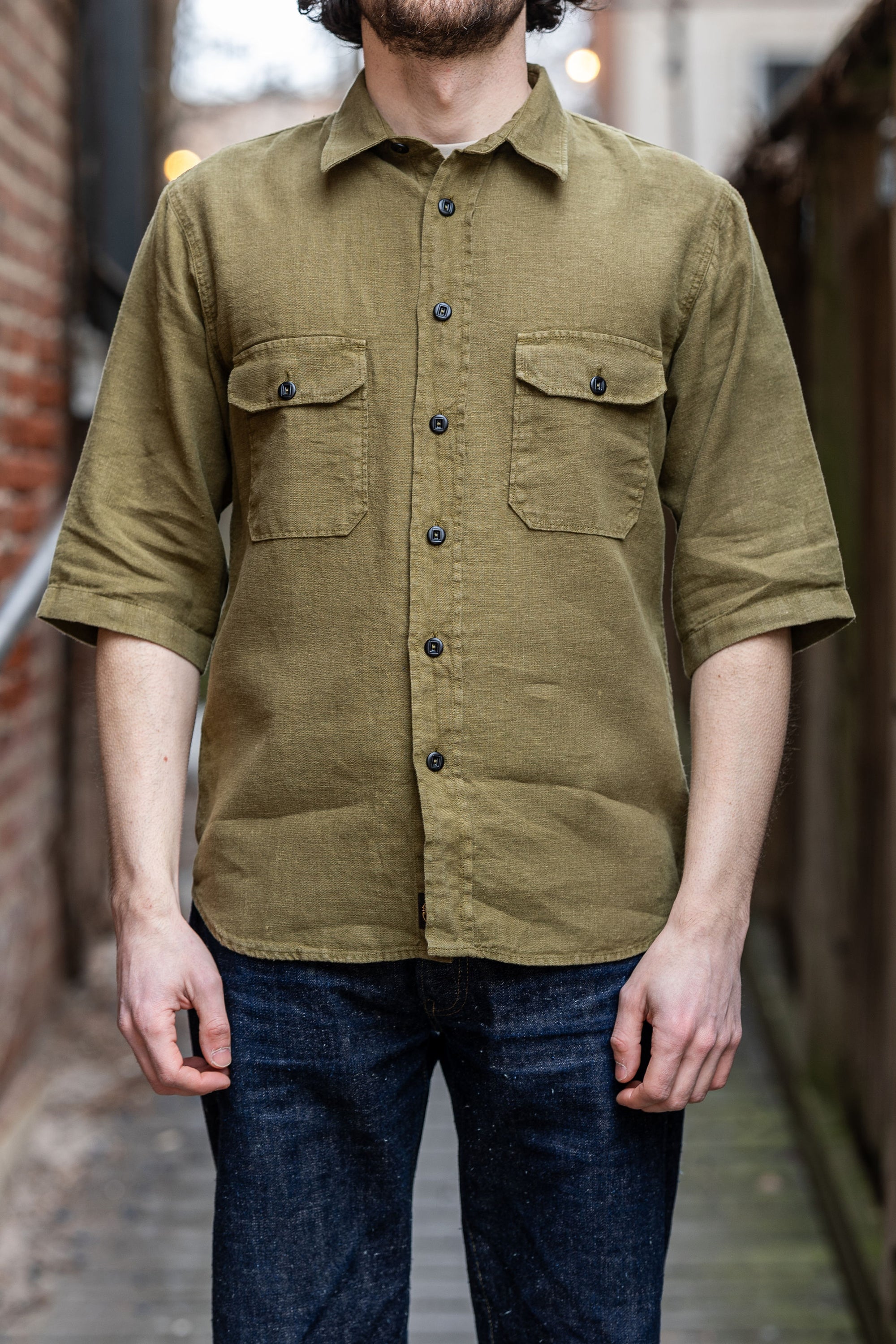 Indigofera Delray  - Military Olive