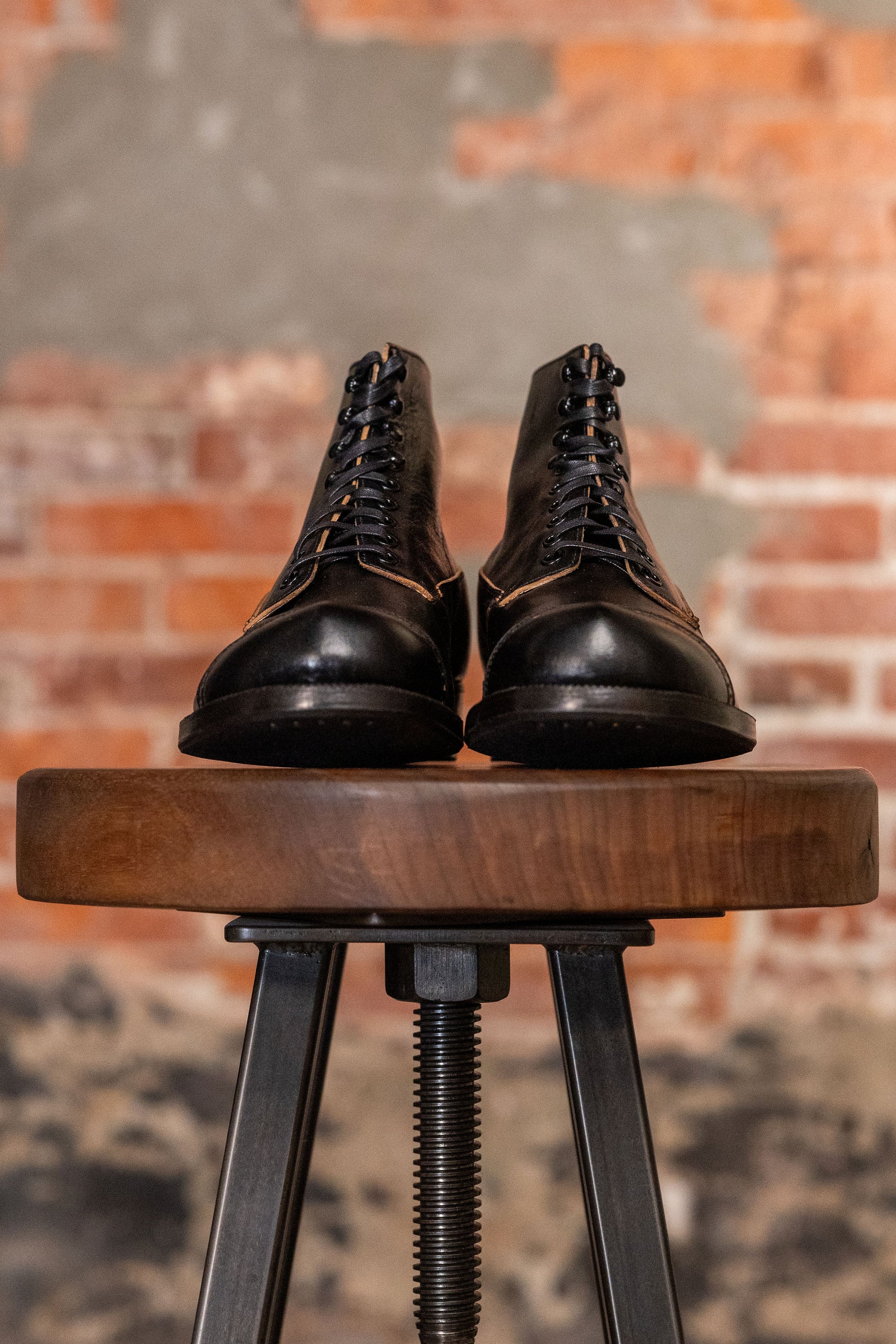 The 2 Monkeys Vaudeville - Black Horsehide