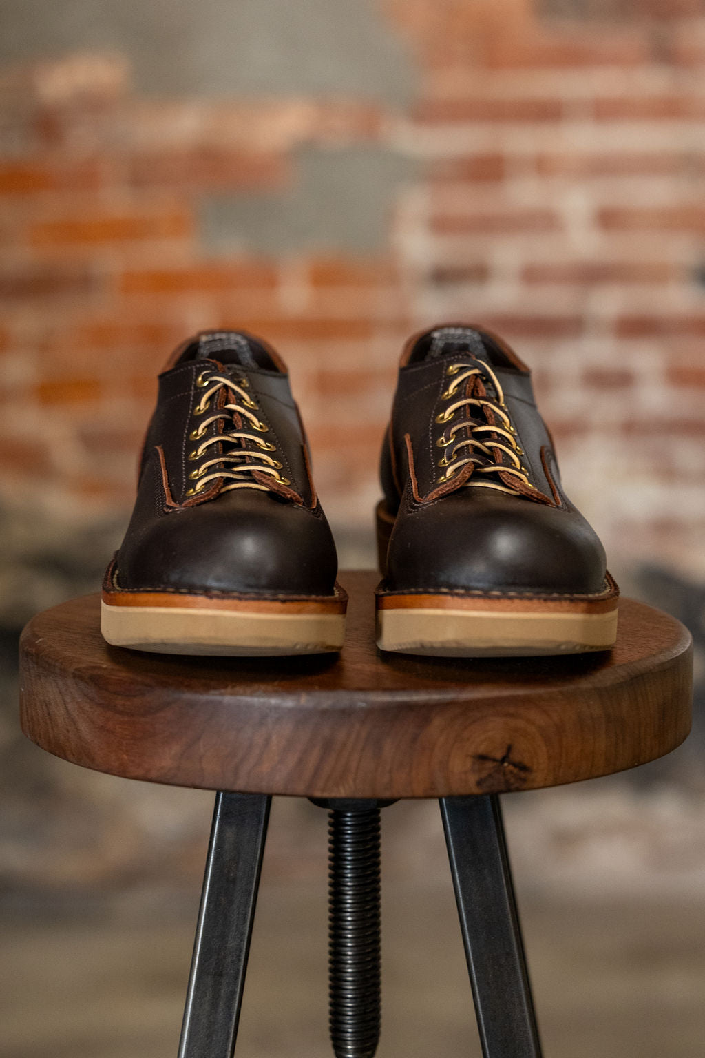 White's Boots x Franklin & Poe LTT Oxford - Brown Dress on wooden tool from the front