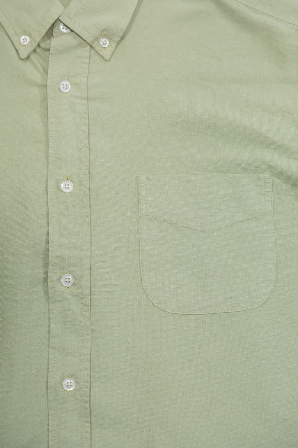 3sixteen Big Oxford - Celadon
