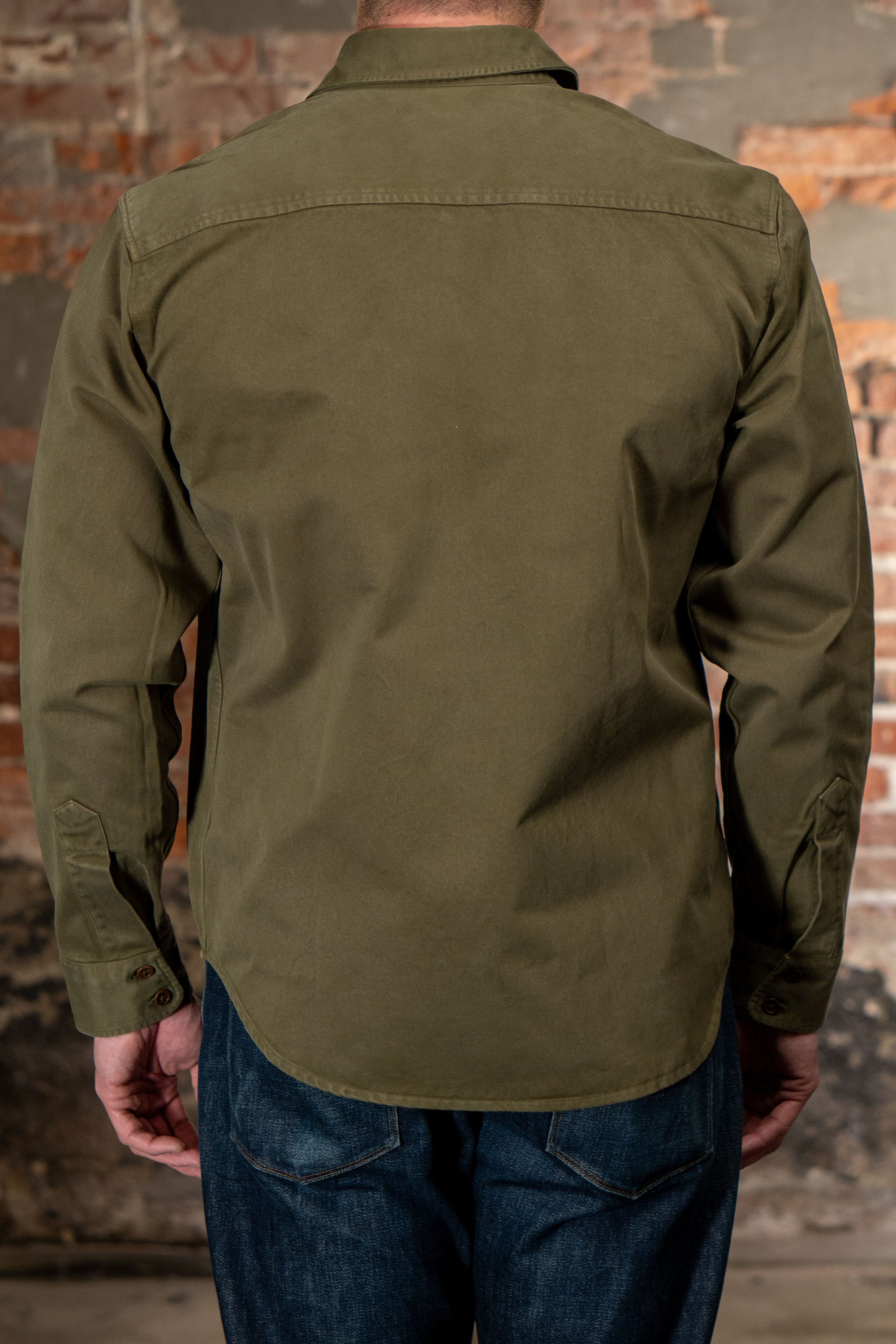 Indigofera Alamo - Olive