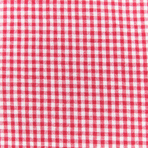 Red and white gingham western-style button-down shirt close up on fabric